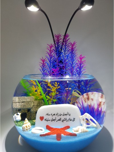 Mini Aquarium Medium Size with Light Blue Sand and Fish