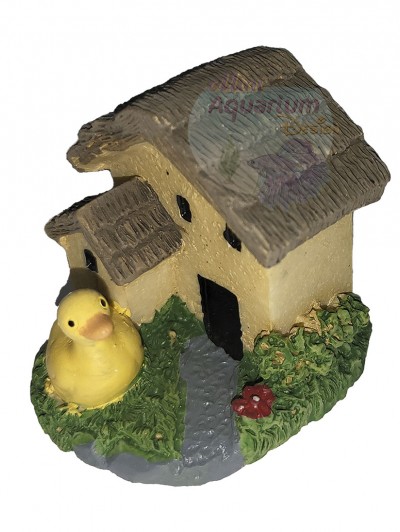 House with Pets - Duck